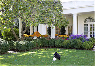 Oval Office view from Rose Garden.jpg